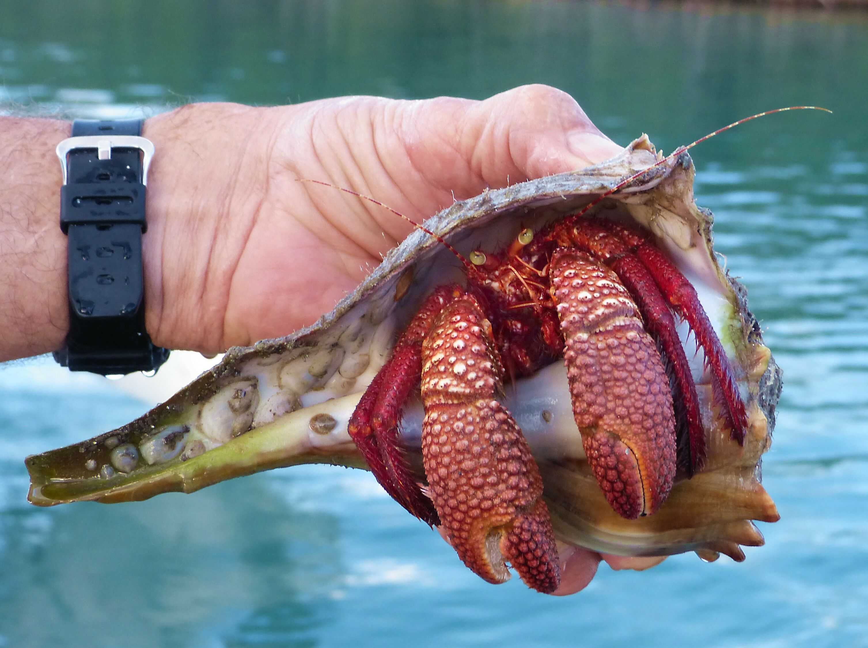 Click to See Next Image